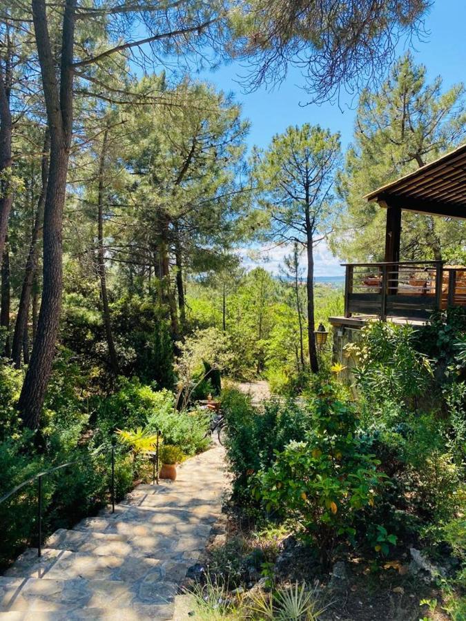 Lou Paradou Lodge Grillon Экстерьер фото