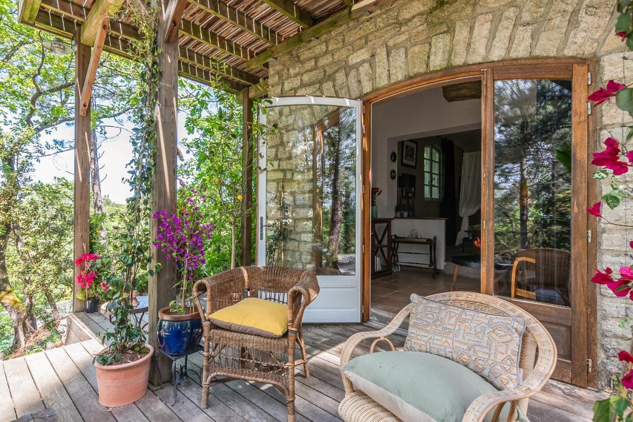Lou Paradou Lodge Grillon Экстерьер фото